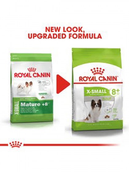 SHN XSMALL ADULT 8+_web7